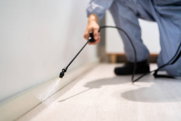 Licensed Pest Control service in Miles City, MT - Show Me Pest Control